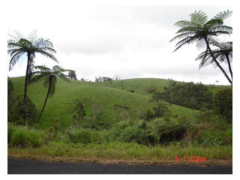 Millaa Millaa QLD 4886