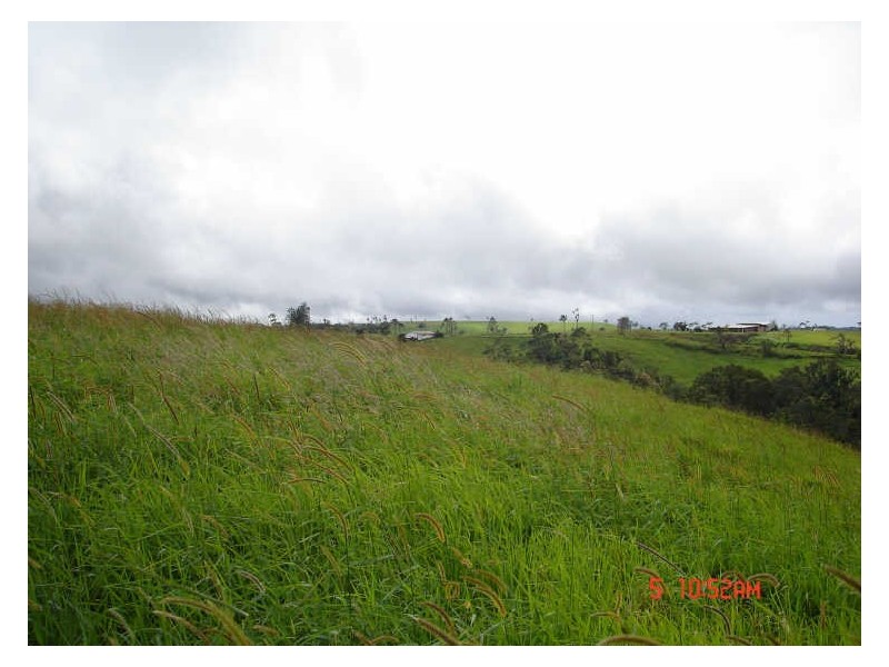 Millaa Millaa QLD 4886