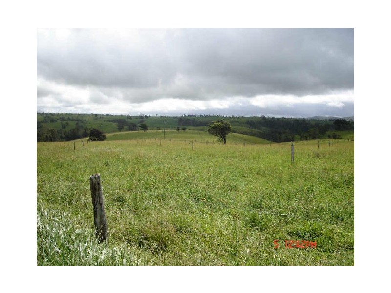 Millaa Millaa QLD 4886