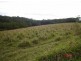 Barrine QLD 4872