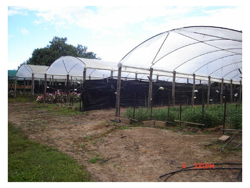 Mareeba QLD 4880