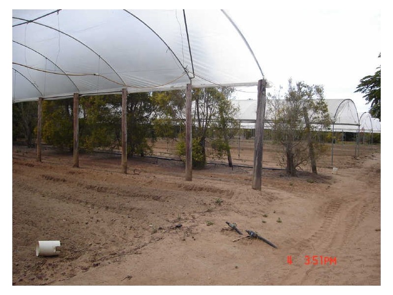 Mareeba QLD 4880