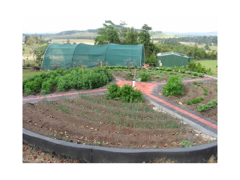 Yungaburra QLD 4884