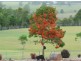Yungaburra QLD 4884