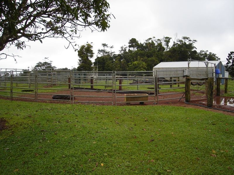 Malanda QLD 4885