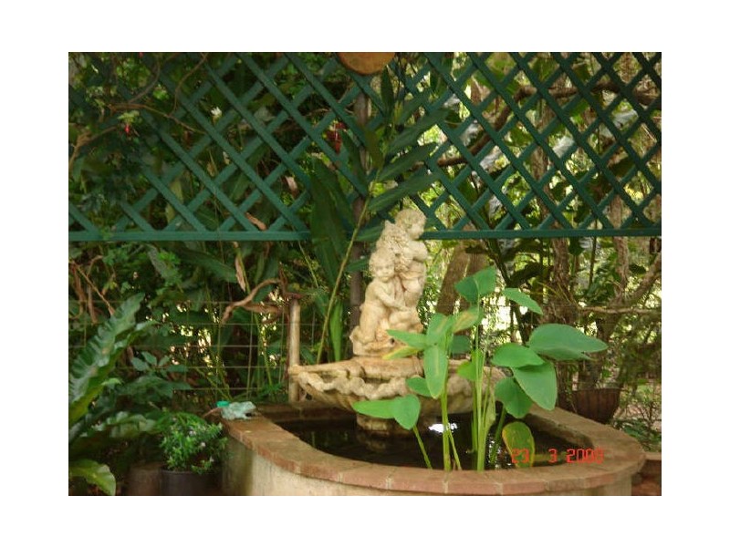 Lake Eacham QLD 4884