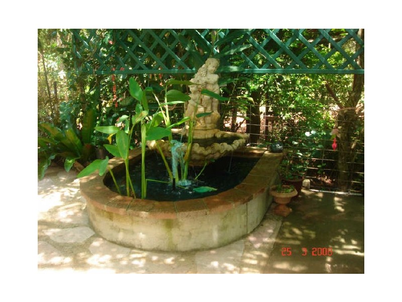 Lake Eacham QLD 4884