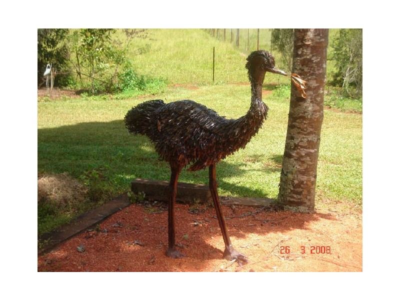 Lake Eacham QLD 4884