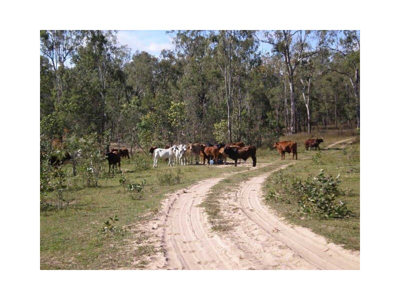 Mount Garnet QLD 4872