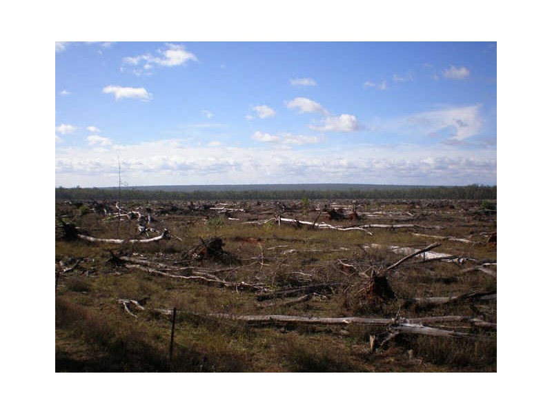 Mount Garnet QLD 4872