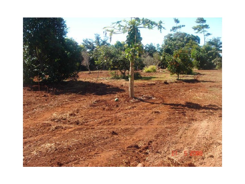 Tolga QLD 4882