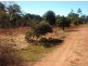 Tolga QLD 4882