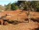 Tolga QLD 4882