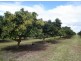 Mareeba QLD 4880