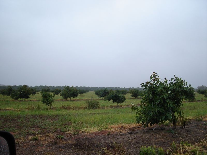 Mareeba QLD 4880