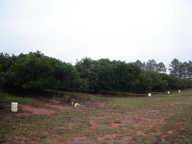 Mareeba QLD 4880