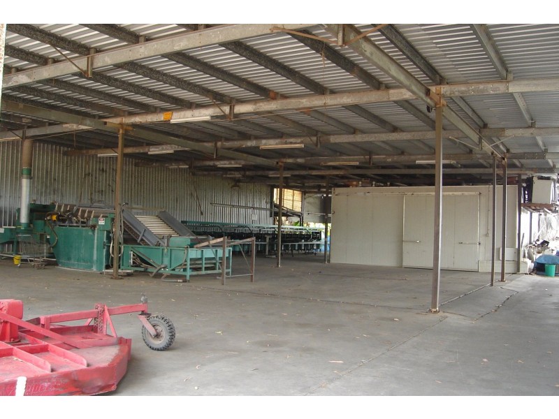 Mareeba QLD 4880