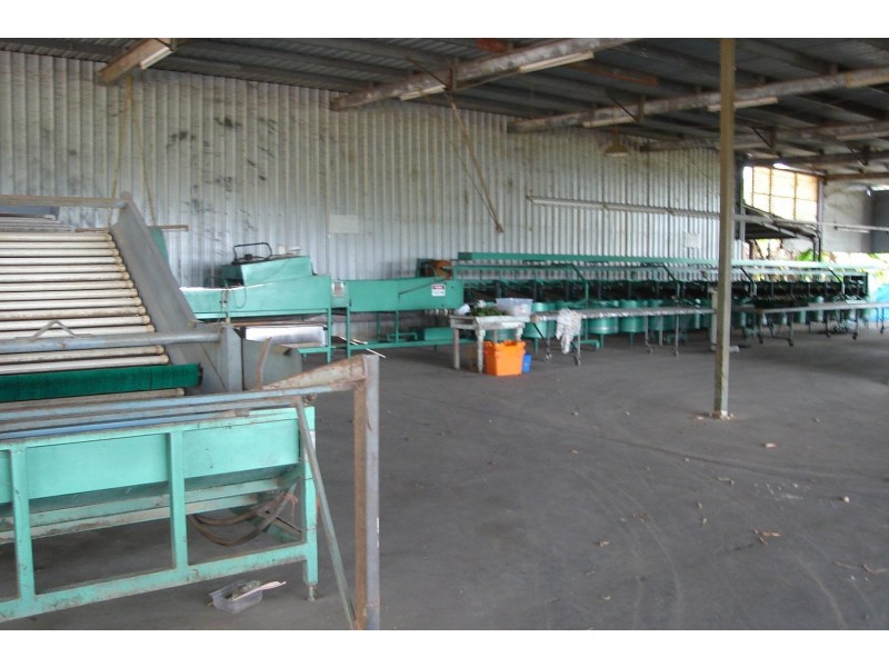 Mareeba QLD 4880