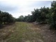 Mareeba QLD 4880