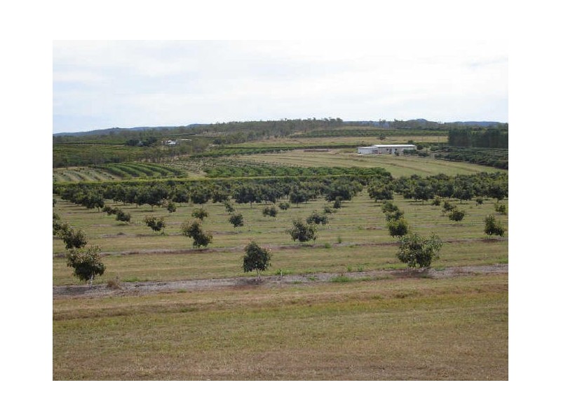Arriga QLD 4880