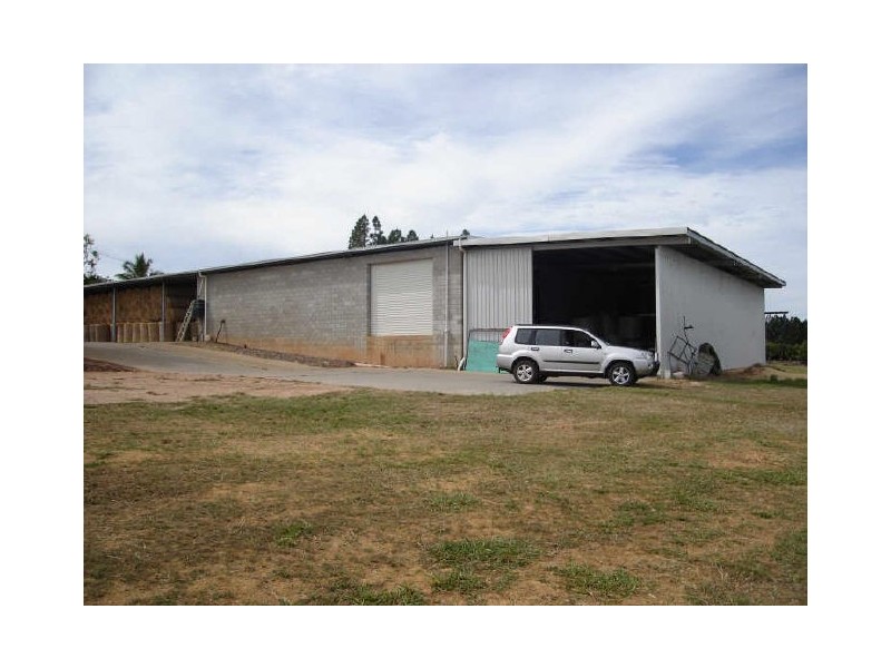 Arriga QLD 4880