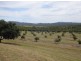 Arriga QLD 4880