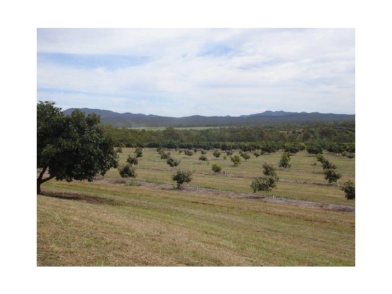Arriga QLD 4880
