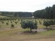 Arriga QLD 4880