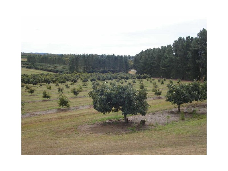 Arriga QLD 4880