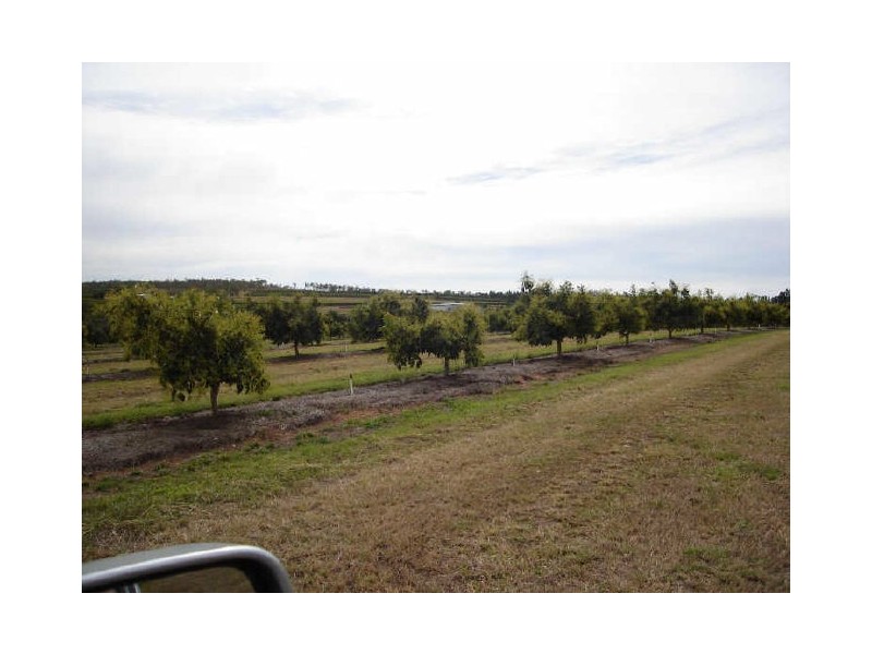 Arriga QLD 4880