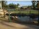 Yungaburra QLD 4884