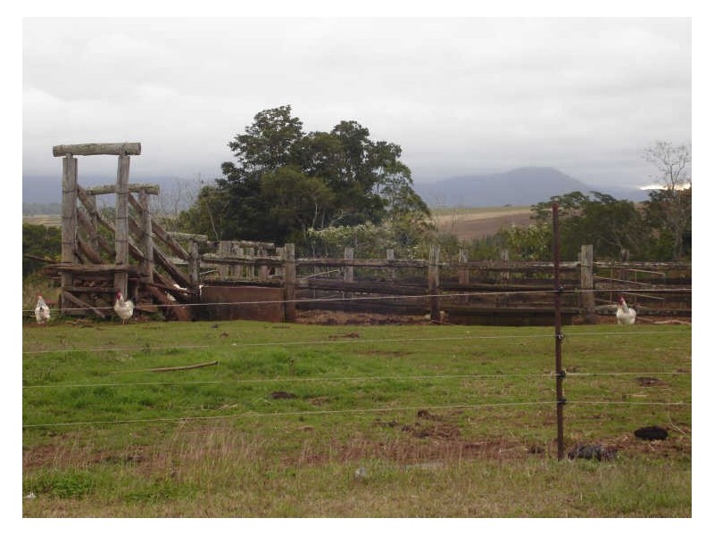 Atherton QLD 4883