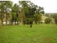 Tarzali QLD 4885