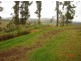 Tarzali QLD 4885