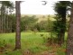 Tarzali QLD 4885