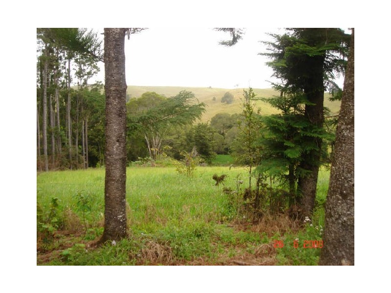 Tarzali QLD 4885