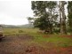 Tarzali QLD 4885