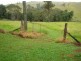 Tarzali QLD 4885