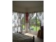 Millaa Millaa QLD 4886