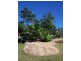 Millaa Millaa QLD 4886