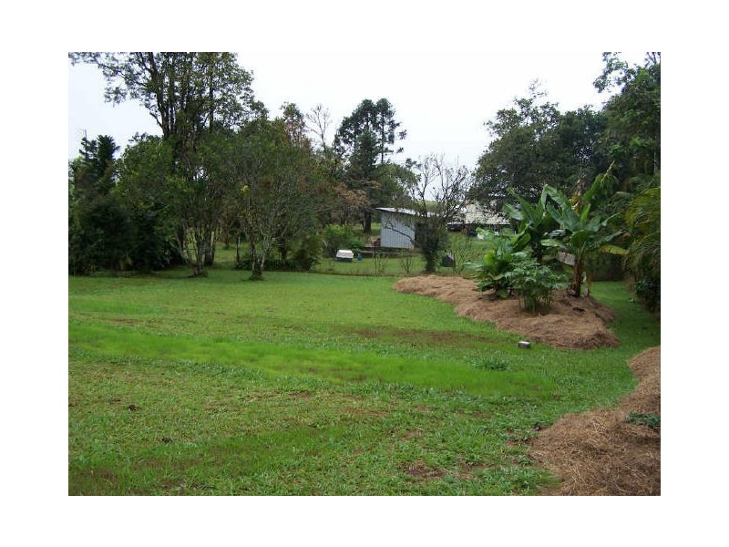 Millaa Millaa QLD 4886