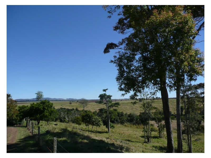 Yungaburra QLD 4884