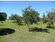 Yungaburra QLD 4884
