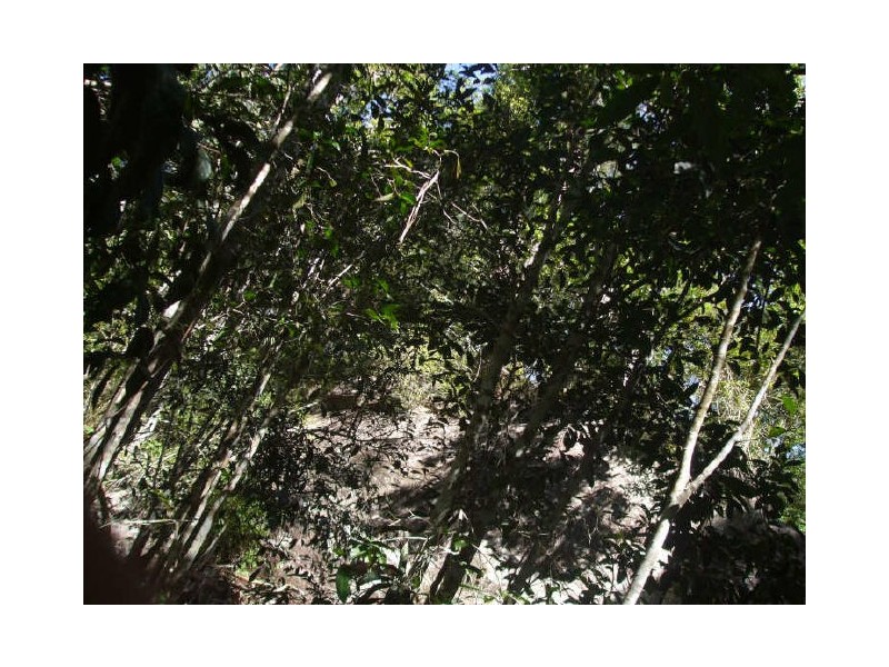 Upper Barron QLD 4883