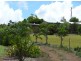 Yungaburra QLD 4884