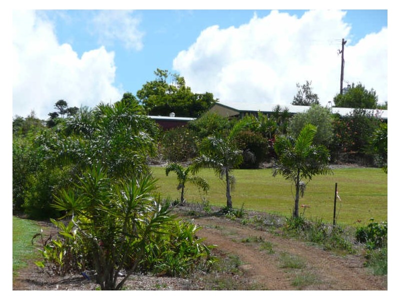 Yungaburra QLD 4884