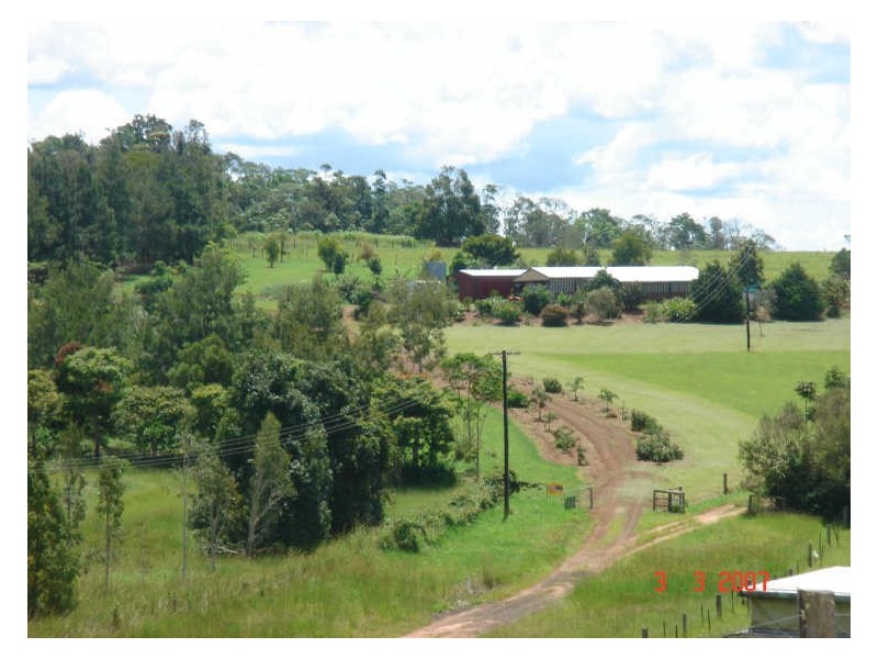 Yungaburra QLD 4884
