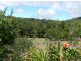 Yungaburra QLD 4884