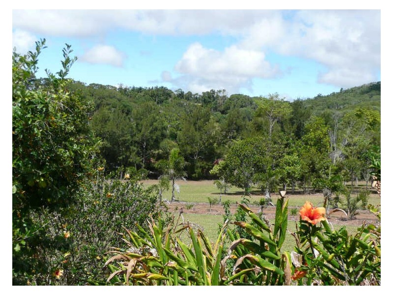Yungaburra QLD 4884