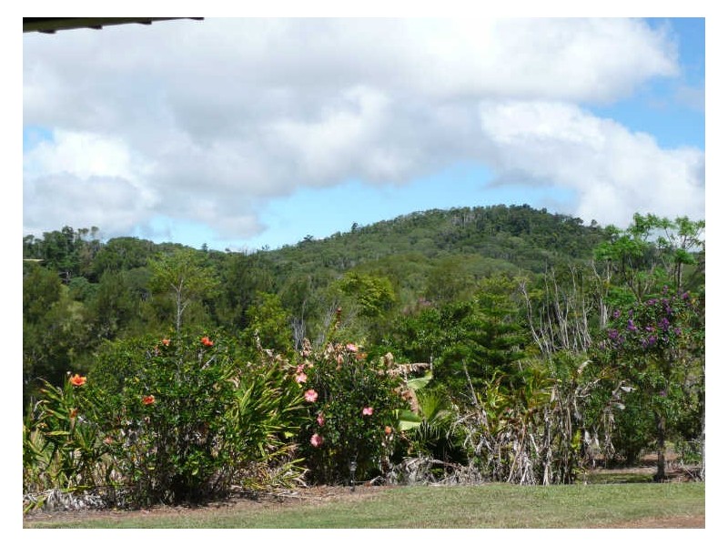 Yungaburra QLD 4884